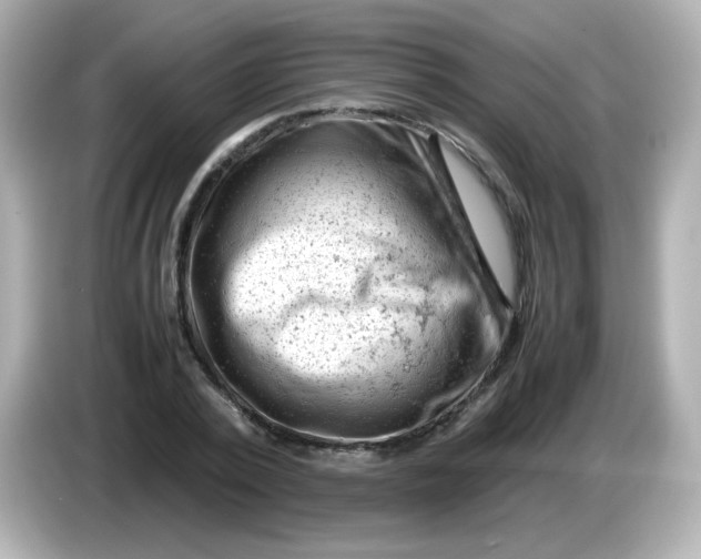 X0000086030784200704091131