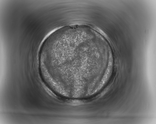 X0000086030787200704091131