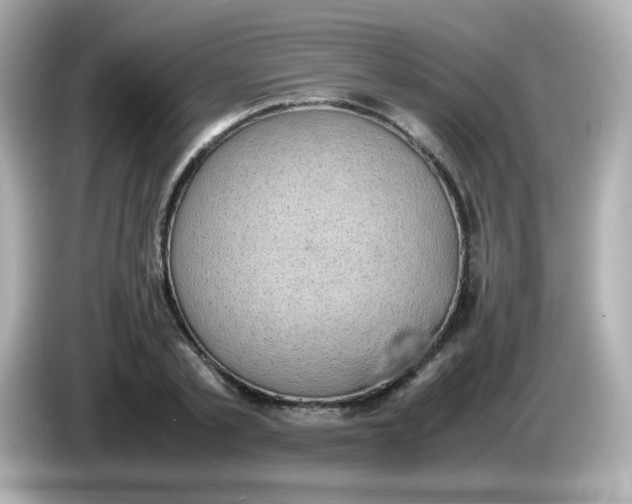 X0000086030789200704091131