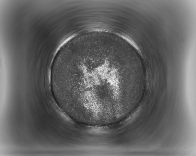 X0000086030790200704091131