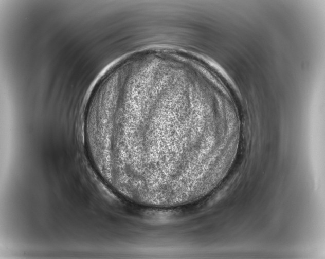 X0000086030791200704091131