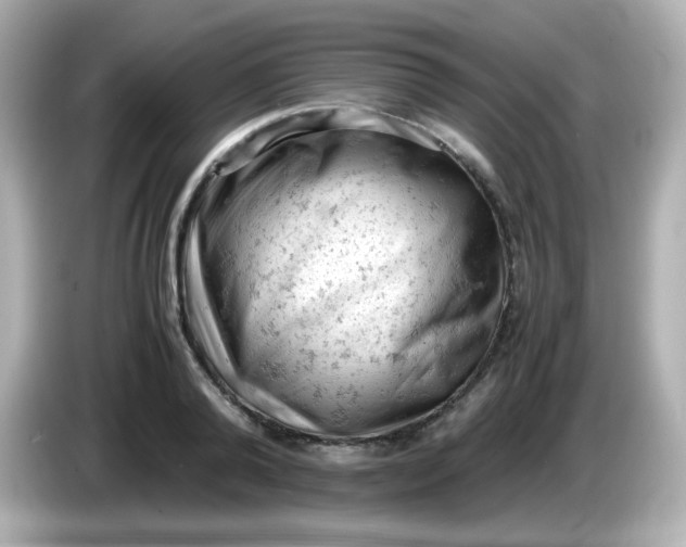 X0000086030792200704091131