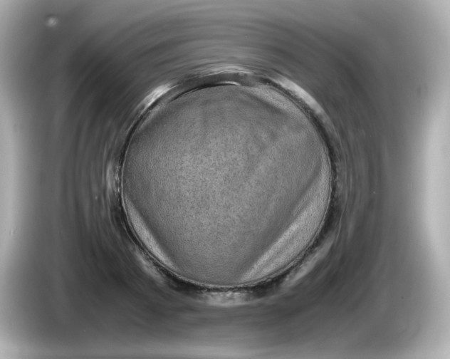 X0000086030793200704091131