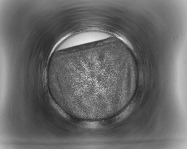 X0000086030798200704091131