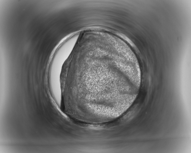 X0000086030799200704091131