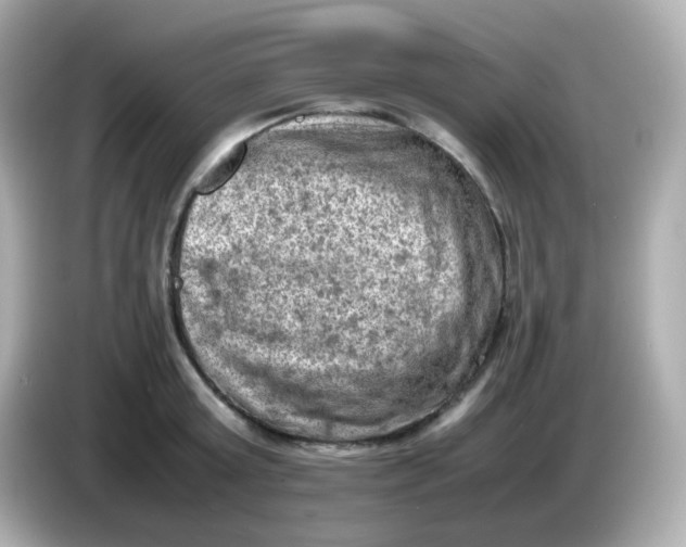 X0000086030803200704091131