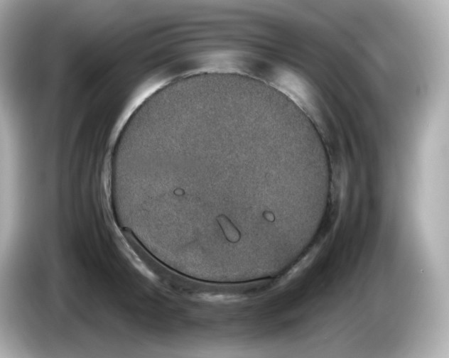 X0000086030804200704091131