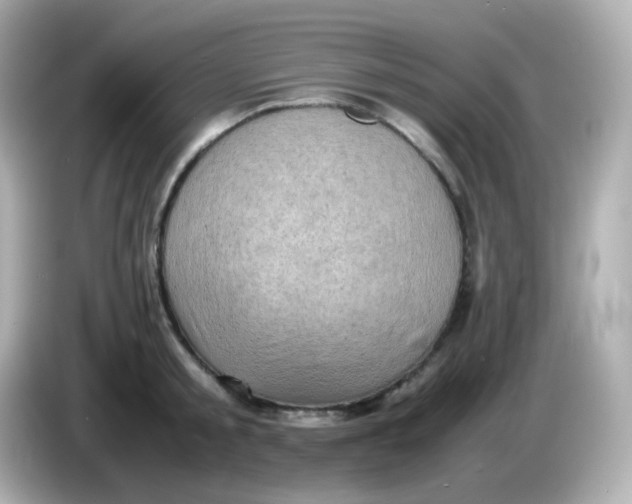 X0000086030805200704091131