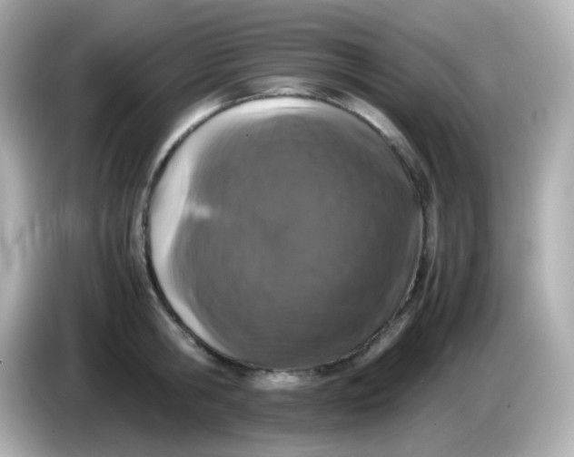 X0000086030806200704091131