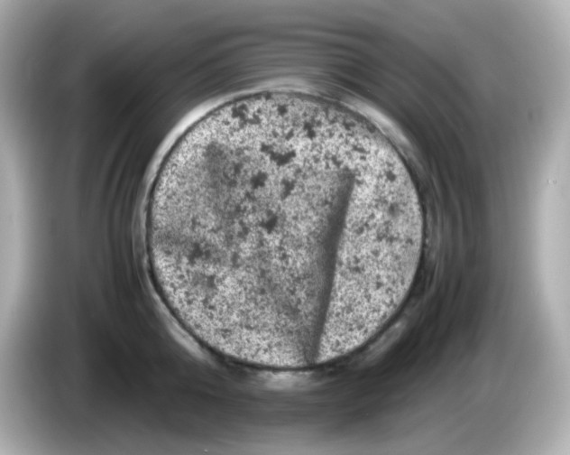 X0000086030808200704091131