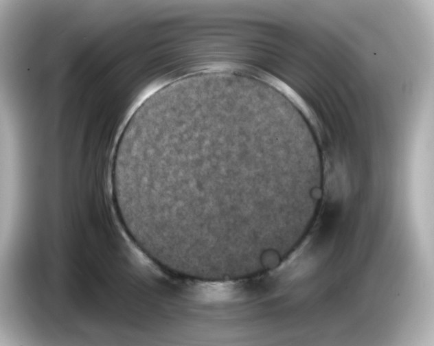 X0000086030810200704091131