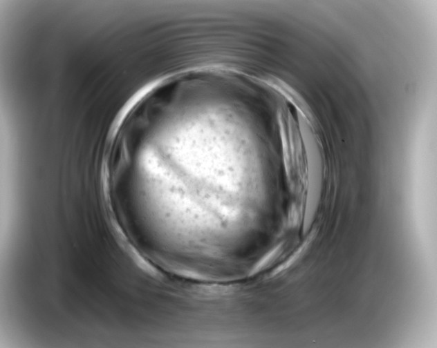 X0000086030812200704091131