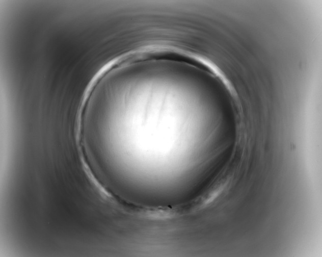 X0000086030815200704091131