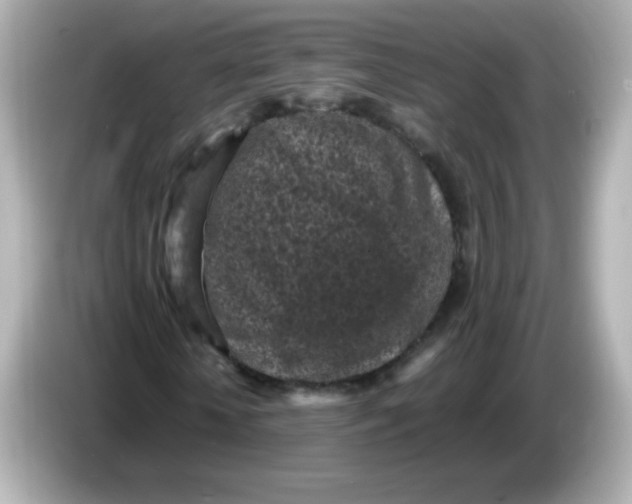 X0000086030818200704091130