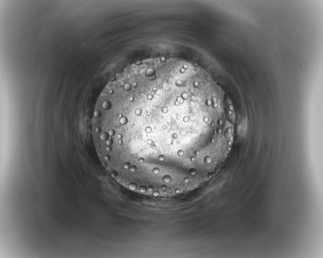 X0000086030819200704091130