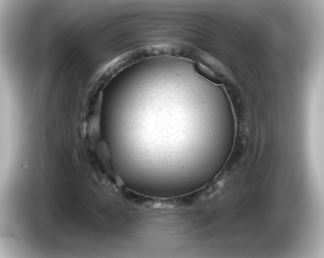 X0000086030822200704091130