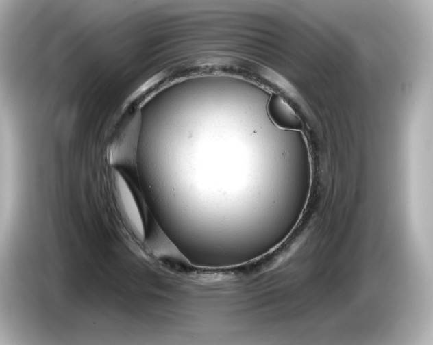 X0000086030826200704091130