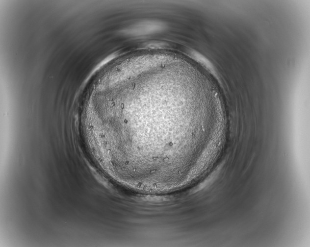 X0000086030827200704091131