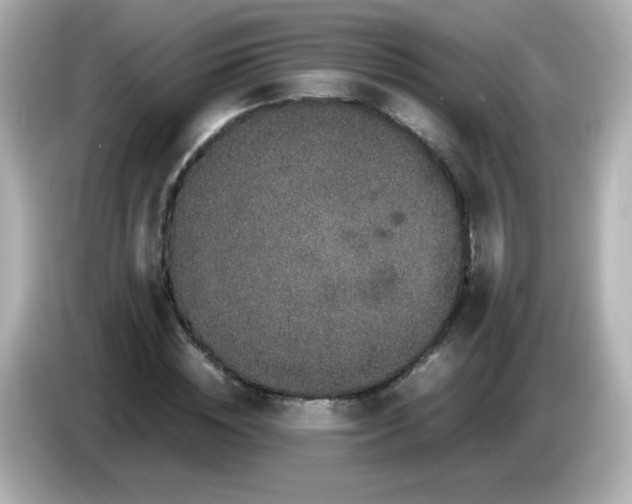 X0000086030828200704091131