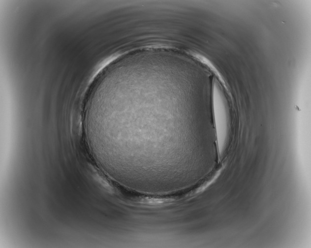 X0000086030829200704091131