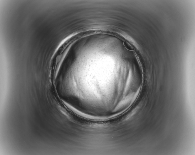 X0000086030830200704091131