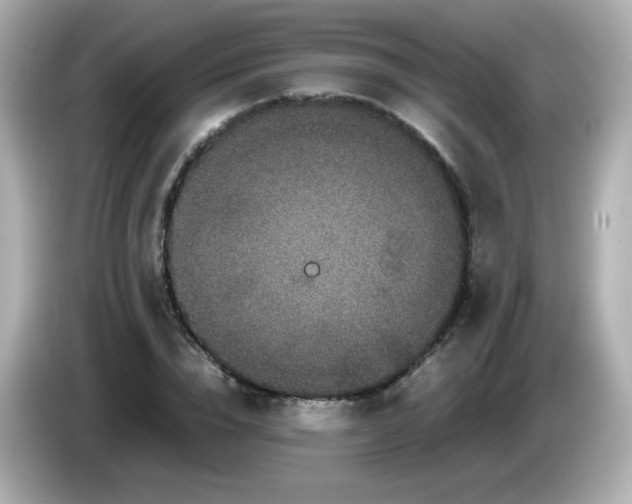 X0000086030832200704091131