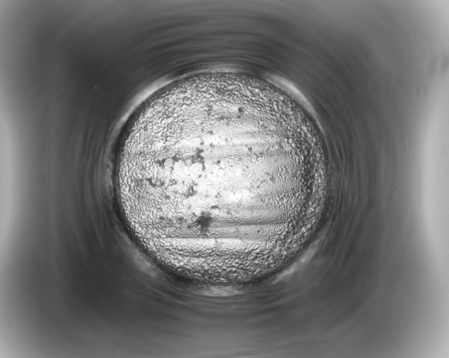 X0000086030835200704091131