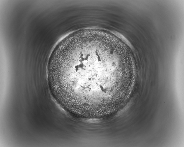 X0000086030839200704091131