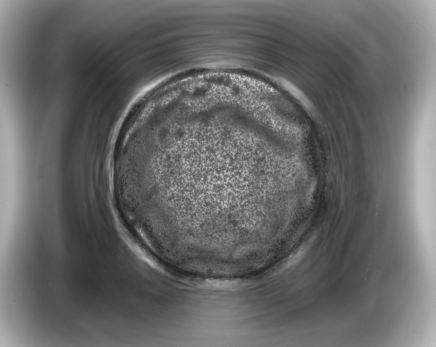 X0000086030840200704091131