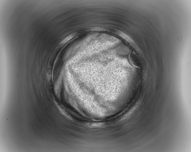 X0000086030841200704091131