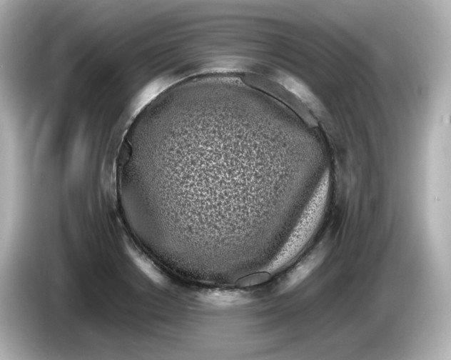 X0000086030842200704091131