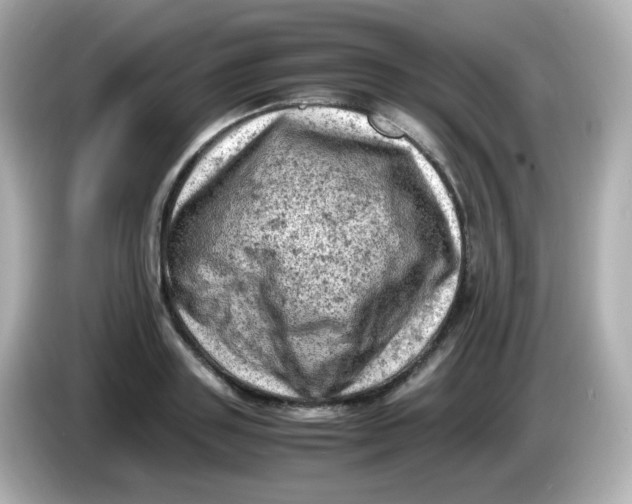 X0000086030843200704091131