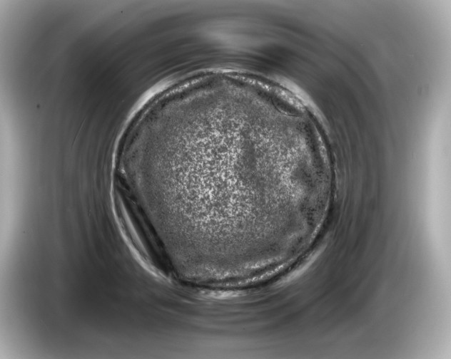 X0000086030845200704091131