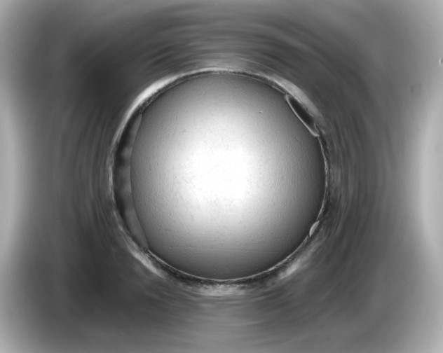 X0000086030846200704091131