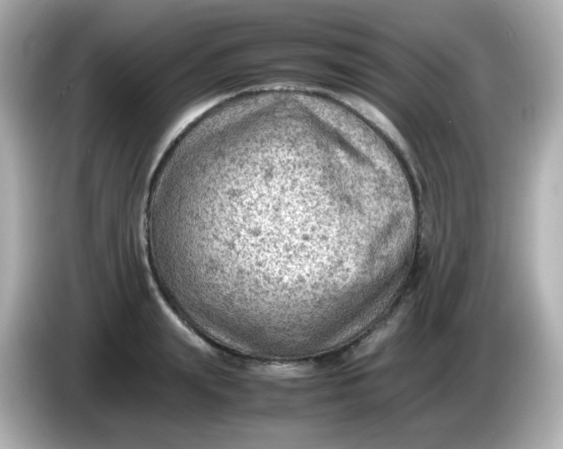 X0000086030847200704091131