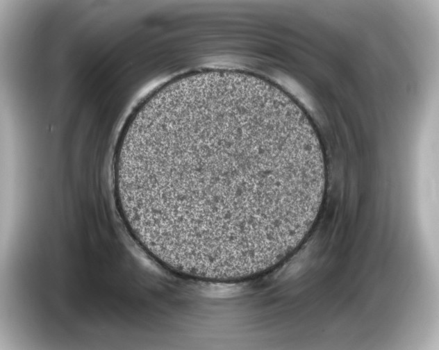 X0000086030848200704091131