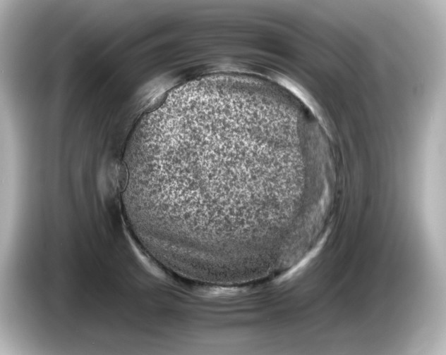 X0000086030849200704091131