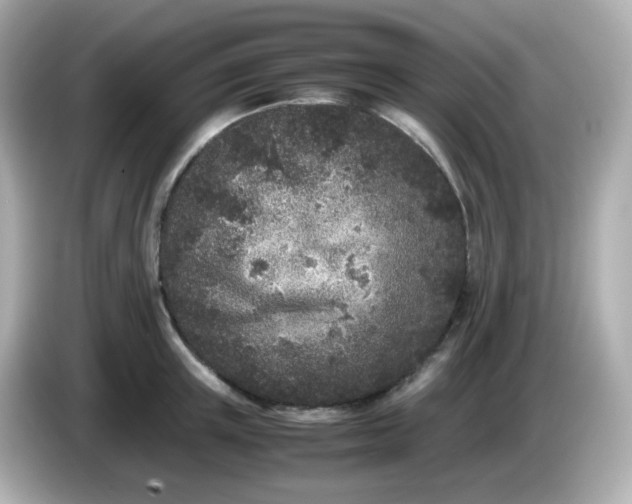 X0000086030851200704091131