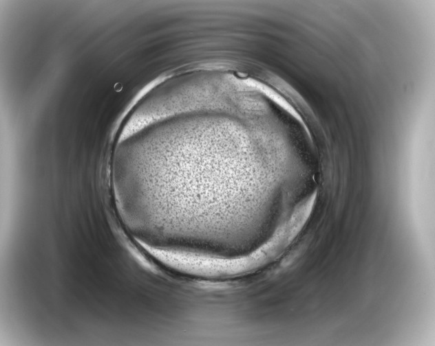 X0000086030852200704091131