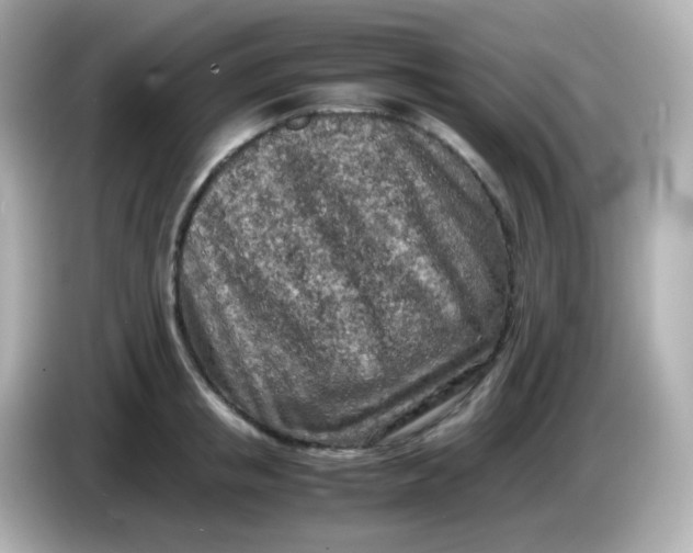 X0000086030853200704091131