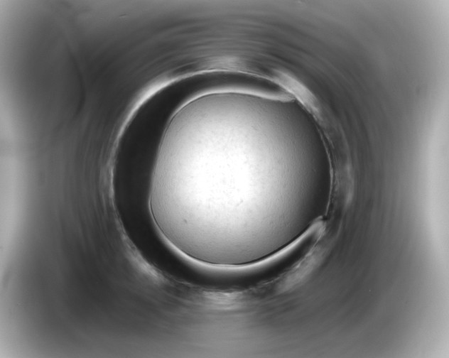 X0000086030854200704091131