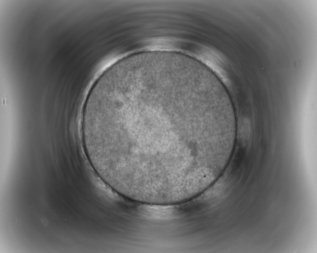 X0000086030856200704091131