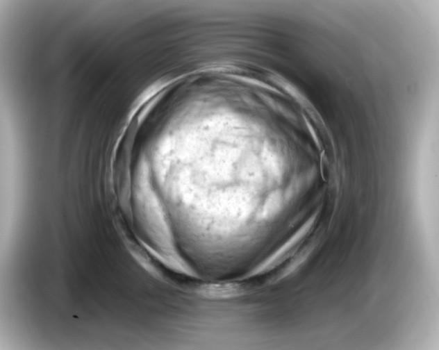 X0000086030858200704091131