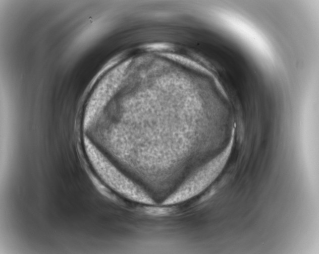 X0000086030861200704091131