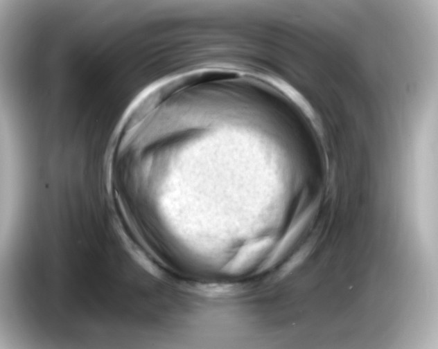 X0000086030862200704091131