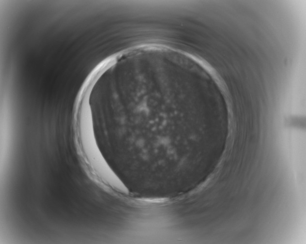 X0000086030864200704091131