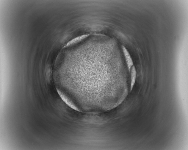 X0000086030866200704091130