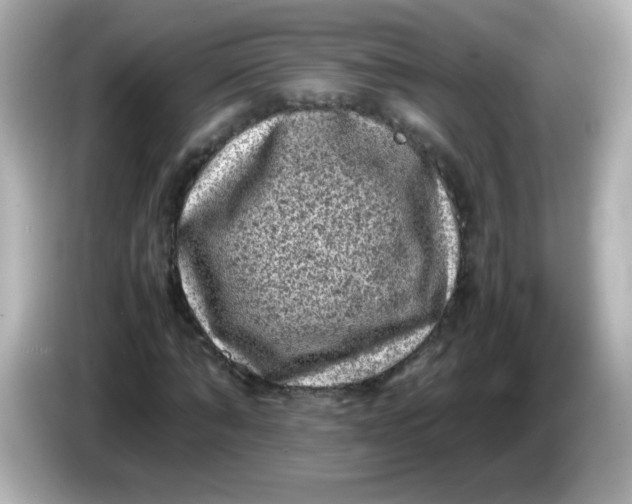 X0000086030870200704091130