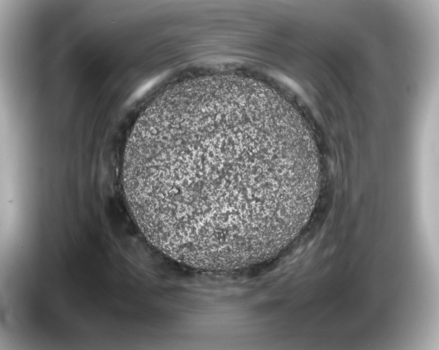 X0000086030871200704091130