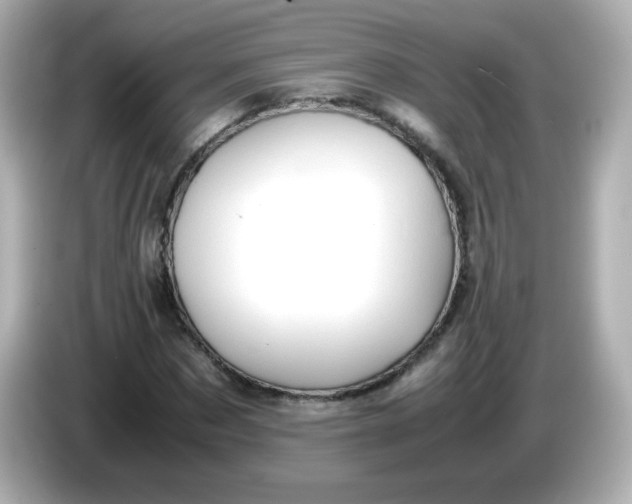 X0000086030873200704091130